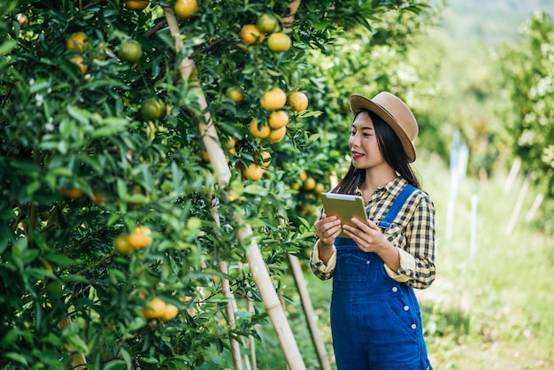 mujer havesting plantación de naranja