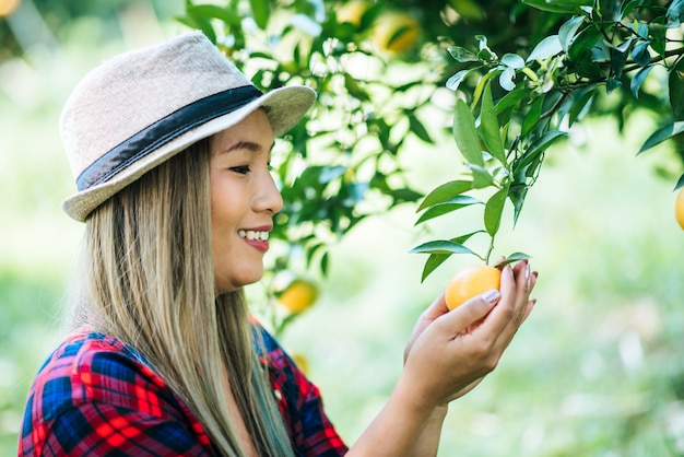 mujer havesting plantación de naranja