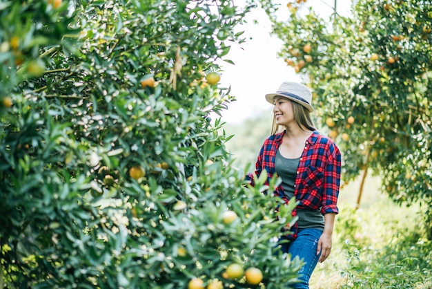 mujer havesting plantación de naranja