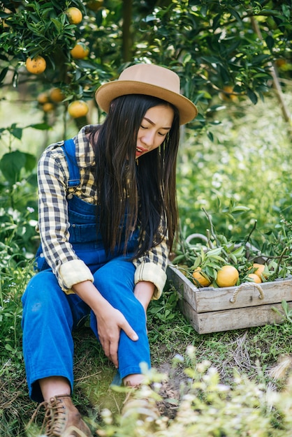 mujer havesting plantación de naranja