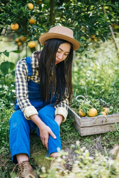 mujer havesting plantación de naranja