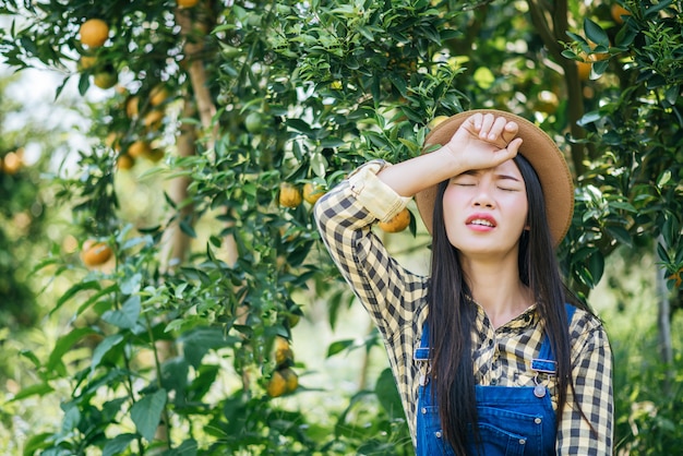 mujer havesting plantación de naranja