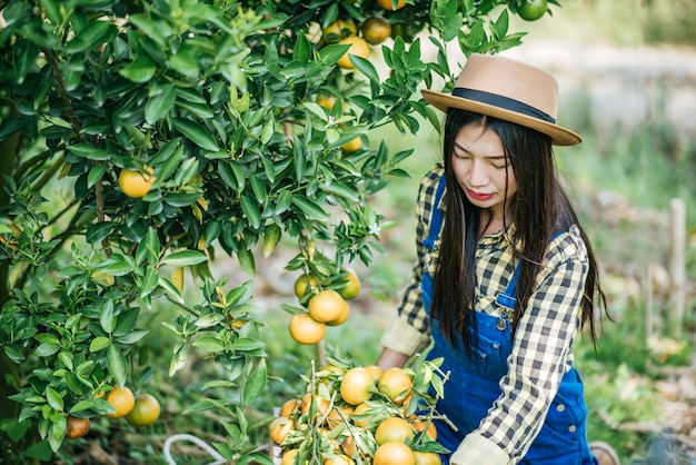 mujer havesting plantación de naranja