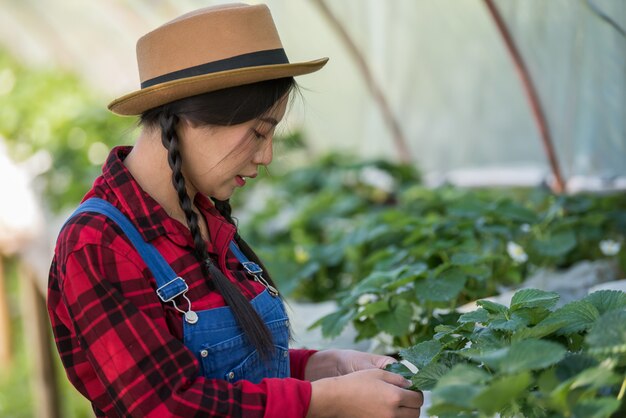 Mujer hermosa del granjero que comprueba la granja de la fresa