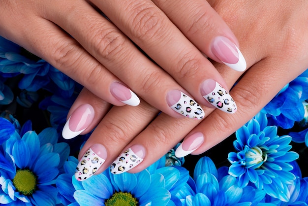 Foto gratuita uñas de mujer hermosa con hermoso diseño de manicura francesa y arte