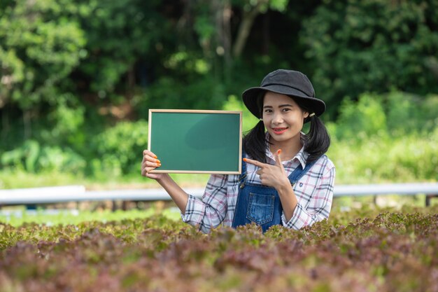 Una mujer hermosa con un tablero verde en un vivero de cultivos.