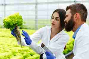 Foto gratuita la mujer y el hombre en batas de laboratorio examinan cuidadosamente las plantas en el invernadero