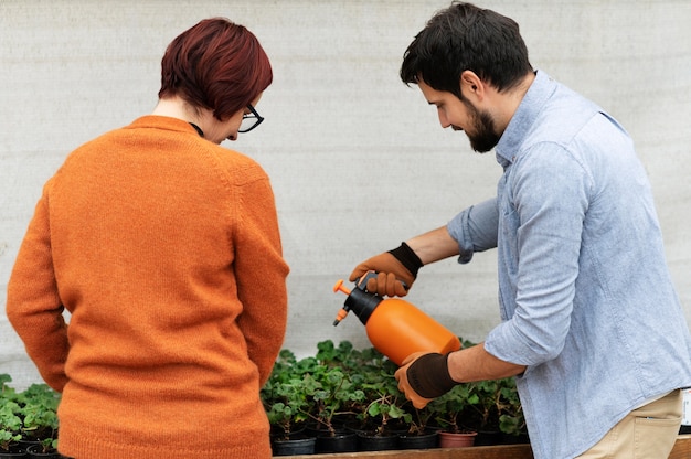 Mujer y hombre cultivando plantas