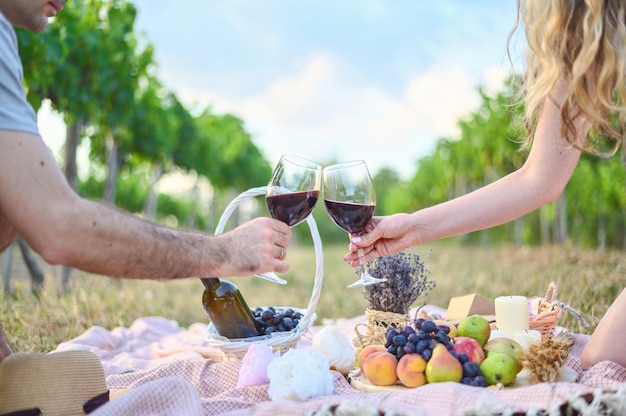 Mujer y hombre haciendo brindis con copas de vino. Picnic al aire libre en los viñedos