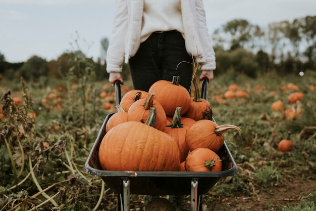 Mujer en un huerto de calabazas antes de Halloween