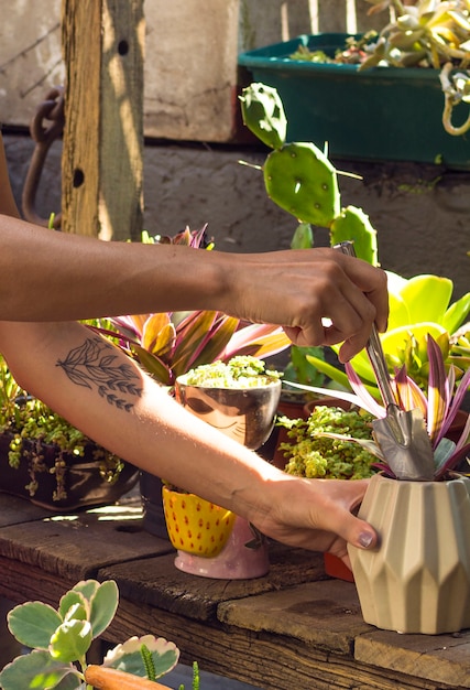 Mujer, jardinería, interior, primer plano