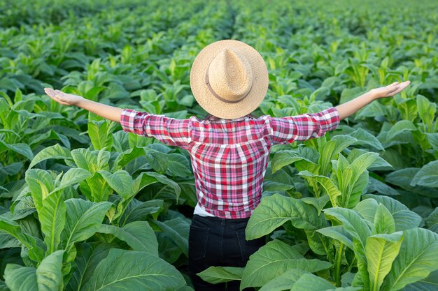 Mujer joven alegre en una plantación de tabaco.