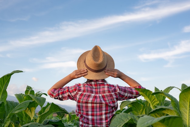 Mujer joven alegre en una plantación de tabaco.