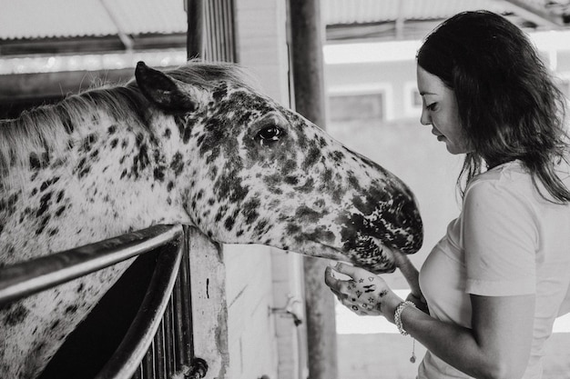 Foto gratuita una mujer joven alimenta a un caballo con zanahorias.