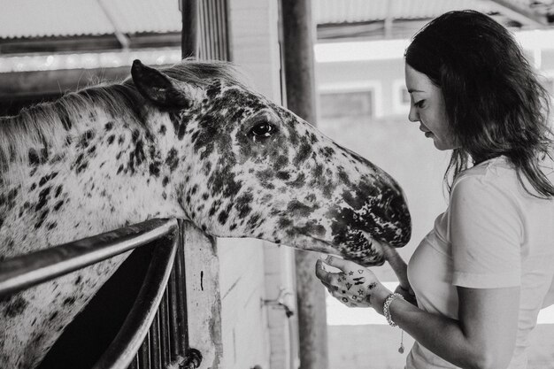 Una mujer joven alimenta a un caballo con zanahorias.