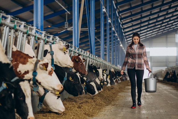 Mujer joven con balde y en el establo alimentando vacas