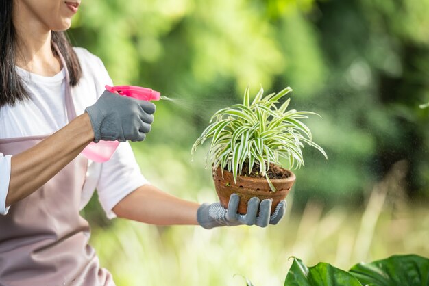 Mujer joven y bonita regar el árbol en el jardín en un día soleado de verano. mujer jardinería exterior en la naturaleza de verano. concepto de agricultura, jardinería, agricultura y personas.