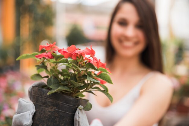Mujer joven borrosa que sostiene la planta floreciente fresca