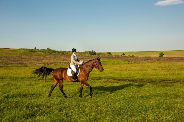 Foto gratuita mujer joven a caballo en el campo verde. equitación. competencia. hobby