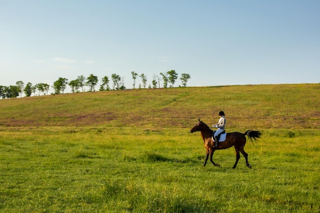 Mujer joven a caballo en el campo verde. Equitación. Competencia. Hobby