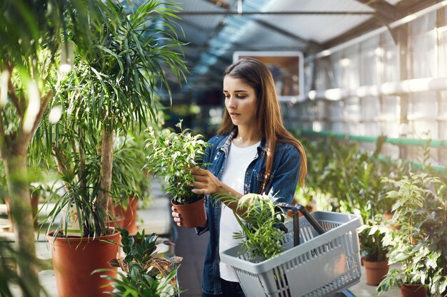 Mujer joven comprando plantas en una tienda verde Decidiendo si quiere usar un descuento o una promoción de ventas
