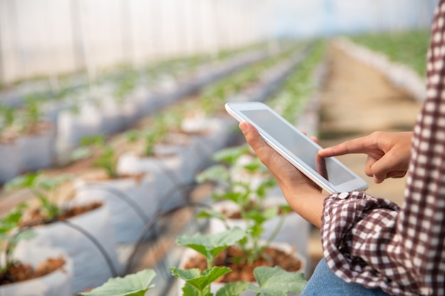 Foto gratuita mujer joven controlando una plantación