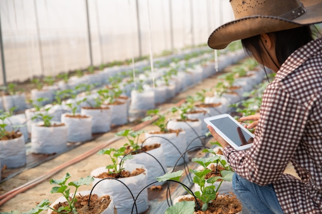 mujer joven controlando una plantación