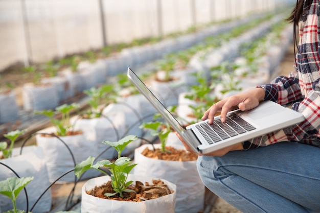 mujer joven controlando una plantación