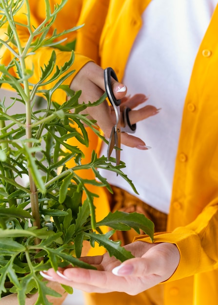 Mujer joven cuidando de las plantas verdes