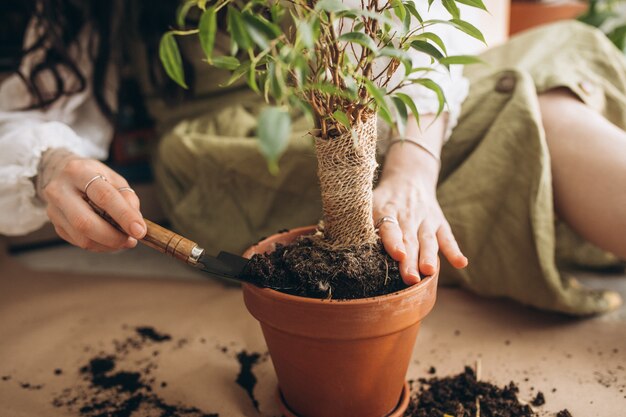 Mujer joven cultivando plantas en casa