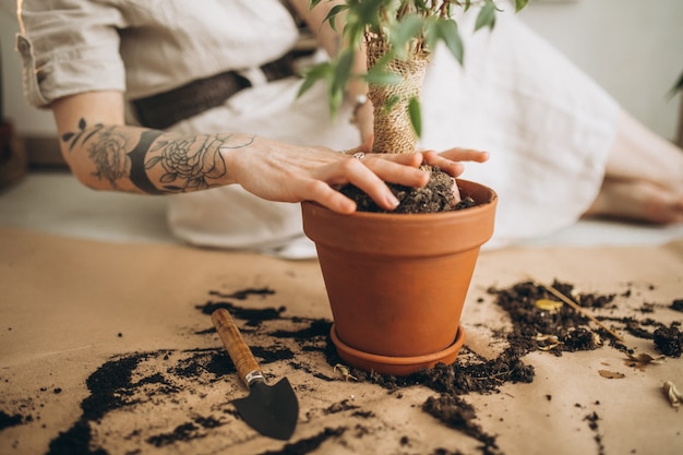 Mujer joven cultivando plantas en casa