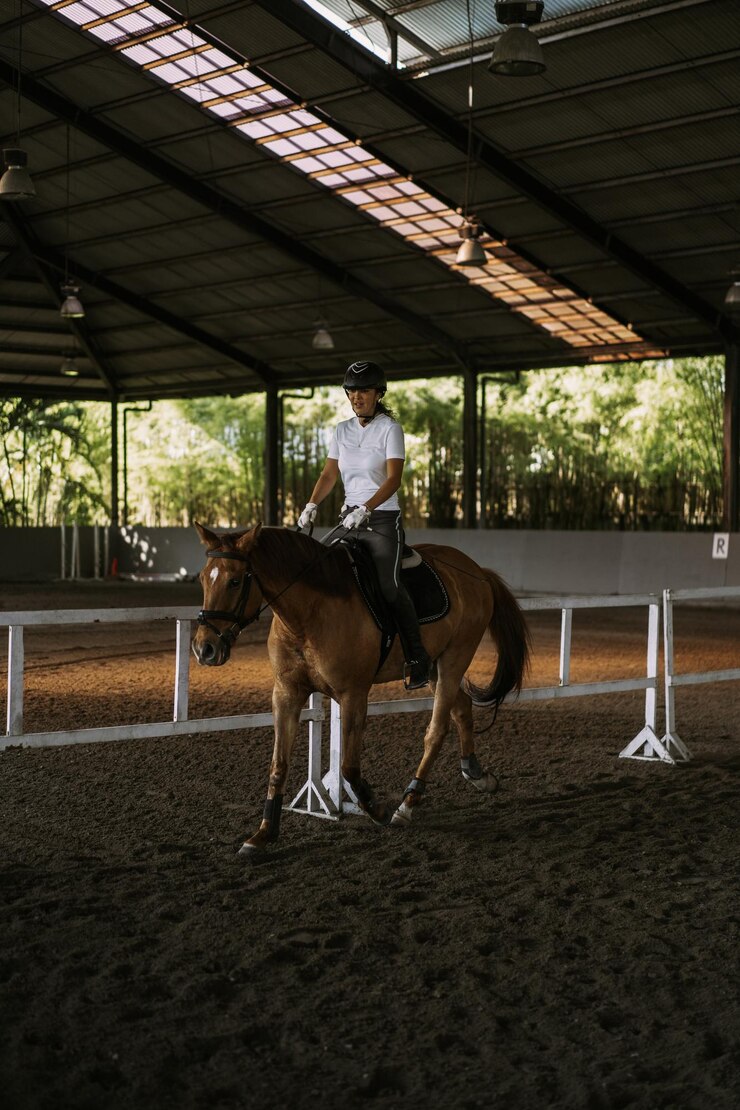 Foto gratuito mujer joven entrena en paseos a caballo en la arena. joven mujer caucásica con ropa formal montando a caballo por la arena. un caballo de pedigrí para el deporte ecuestre. la deportista a caballo