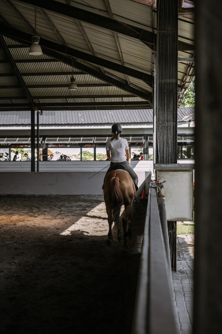 Foto gratuito mujer joven entrena en paseos a caballo en la arena. joven mujer caucásica con ropa formal montando a caballo por la arena. un caballo de pedigrí para el deporte ecuestre. la deportista a caballo