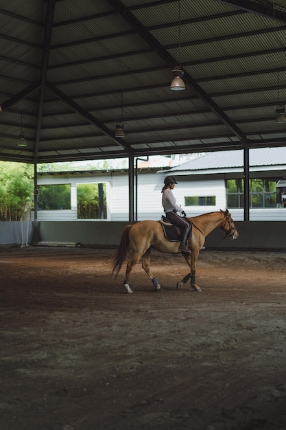 Mujer joven entrena en paseos a caballo en la arena. Joven mujer caucásica con ropa formal montando a caballo por la arena. Un caballo de pedigrí para el deporte ecuestre. La deportista a caballo