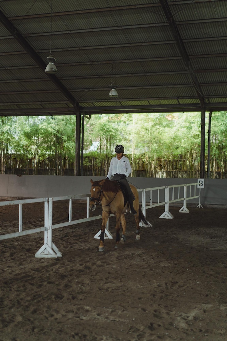 Foto gratuito mujer joven entrena en paseos a caballo en la arena. joven mujer caucásica con ropa formal montando a caballo por la arena. un caballo de pedigrí para el deporte ecuestre. la deportista a caballo