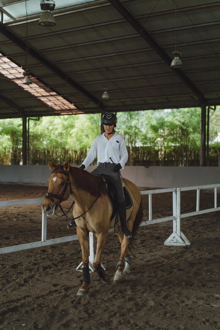 Foto gratuito mujer joven entrena en paseos a caballo en la arena. joven mujer caucásica con ropa formal montando a caballo por la arena. un caballo de pedigrí para el deporte ecuestre. la deportista a caballo