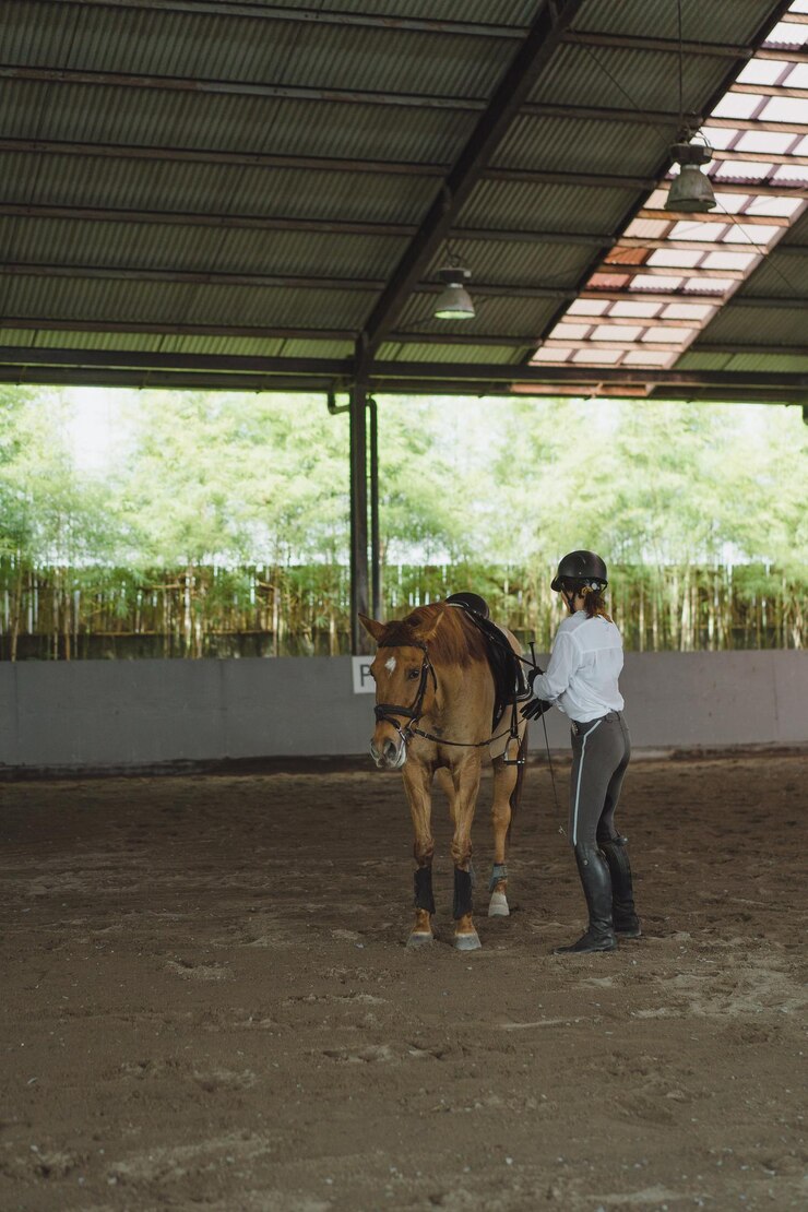 Foto gratuito mujer joven entrena en paseos a caballo en la arena. joven mujer caucásica con ropa formal montando a caballo por la arena. un caballo de pedigrí para el deporte ecuestre. la deportista a caballo