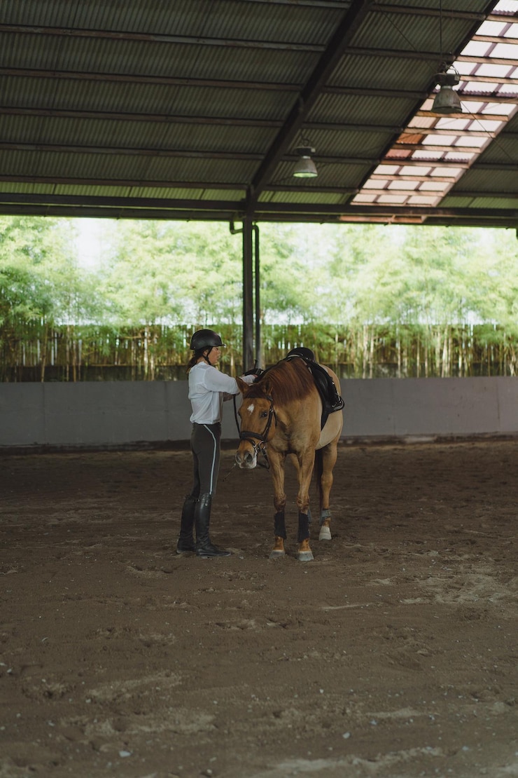 Foto gratuito mujer joven entrena en paseos a caballo en la arena. joven mujer caucásica con ropa formal montando a caballo por la arena. un caballo de pedigrí para el deporte ecuestre. la deportista a caballo
