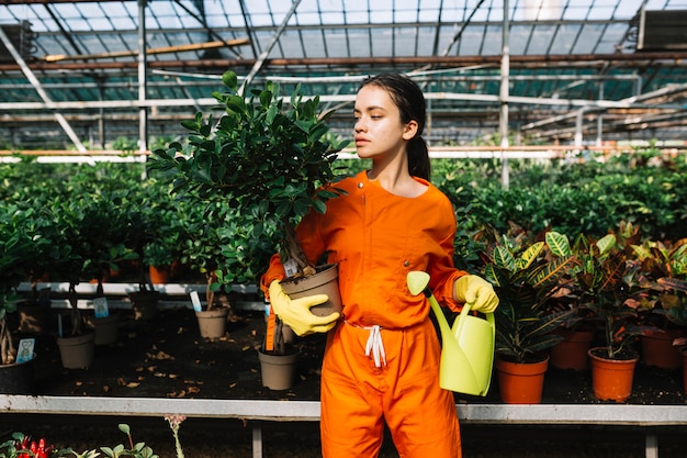 Mujer joven hermosa que sostiene la planta y la regadera en conserva en invernadero