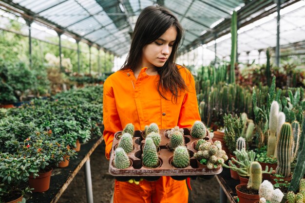 Mujer joven hermosa que sostiene las plantas suculentas en invernadero