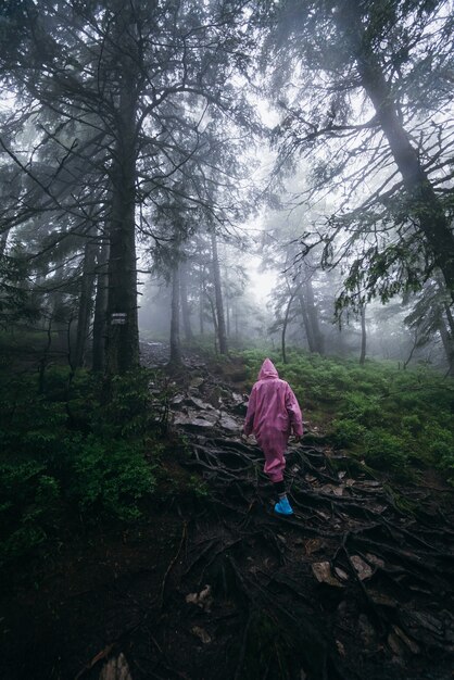 Mujer joven en un impermeable camina por el bosque bajo la lluvia