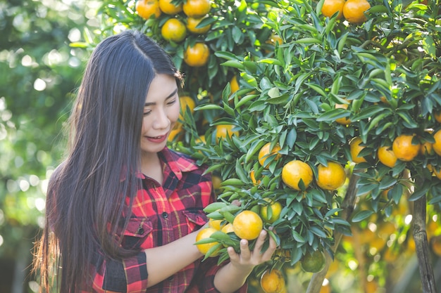 La mujer joven en el jardín cosecha la naranja en el jardín.