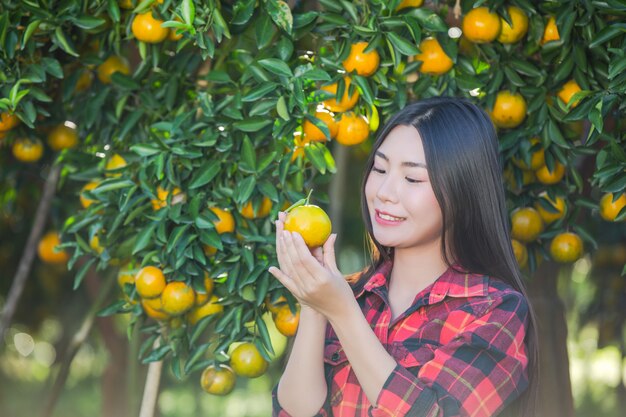 La mujer joven en el jardín cosecha la naranja en el jardín.