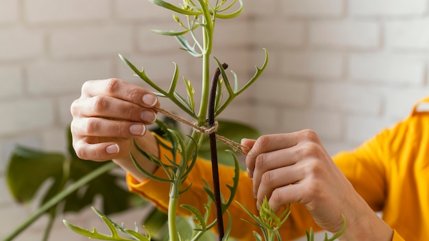 Mujer joven, jardinería, primer plano