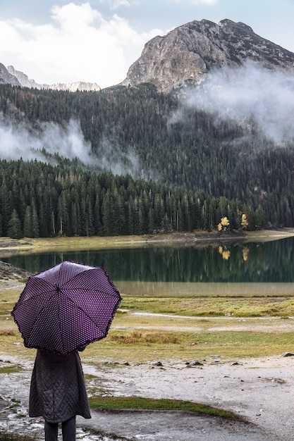 Mujer joven con un paraguas morado camina en el parque de otoño Durmitor Montenegro