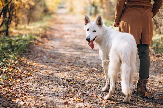 Mujer joven en el parque con su perro blanco