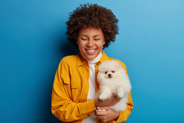 La mujer joven rizada alegre sostiene el perro blanco del spitz del pedigrí en las manos, mantiene los ojos cerrados, la sonrisa amplia, vestida con ropa de moda, aislada sobre fondo azul.