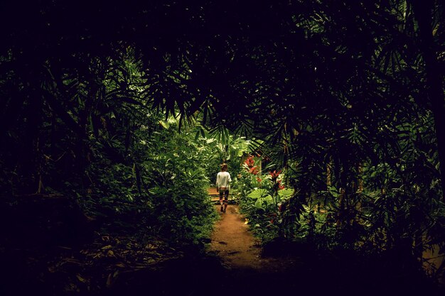 mujer joven en la selva en la roca Bali Indonesia