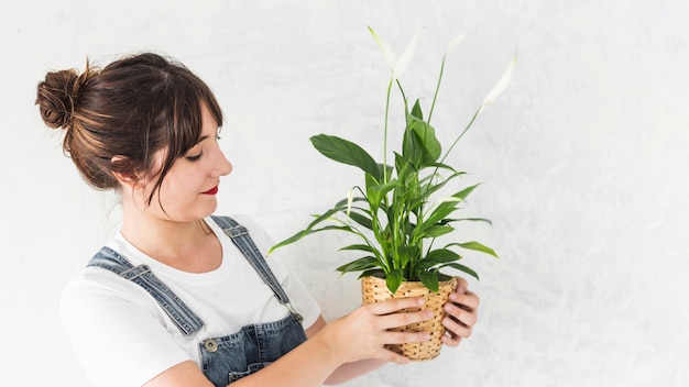 Mujer joven, tenencia, planta potted