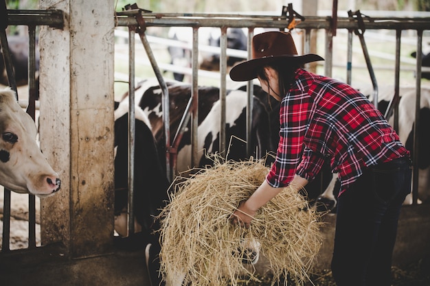 Mujer joven trabajando con heno para vacas en granja lechera